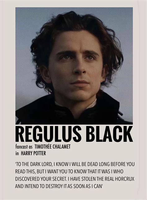 harry potter rab|Regulus Black 